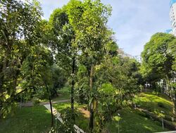 Blk 534 Panshan Grove (Bukit Panjang), HDB 5 Rooms #578675041